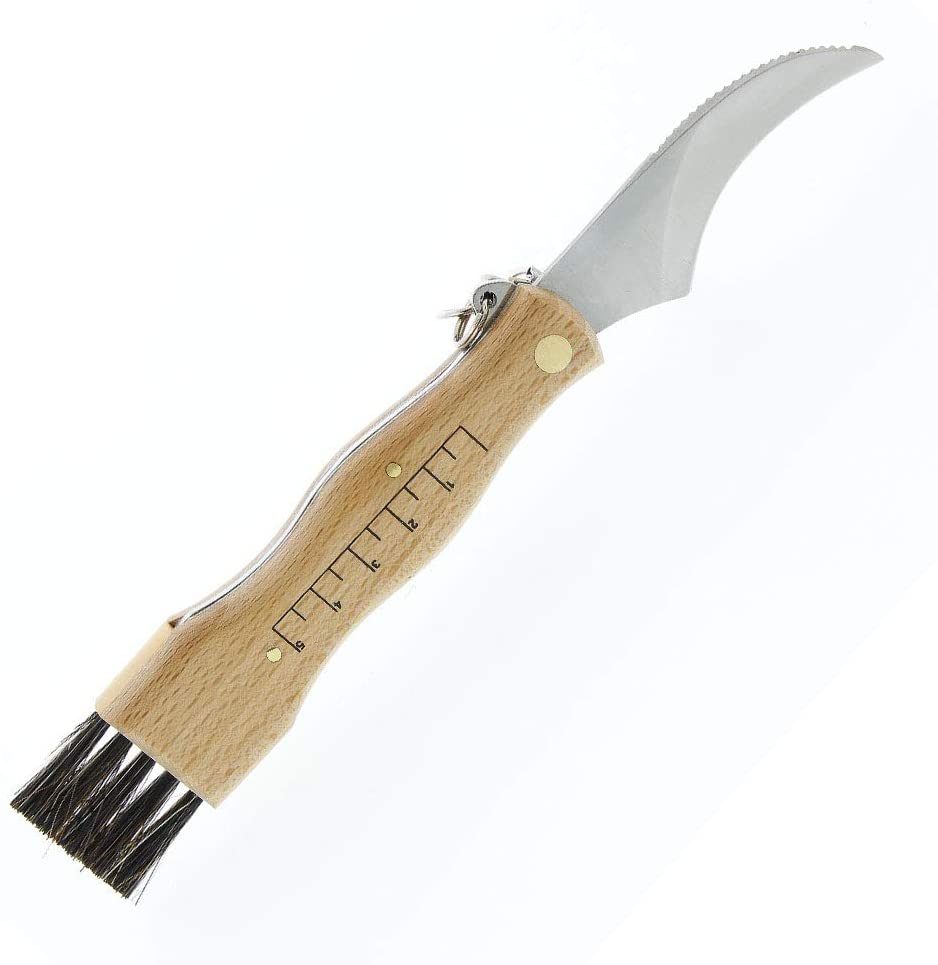 Couteau à Champignons 'Maserin' avec manche en hetre et lame acier inoxydable
